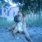 con.8.meses...